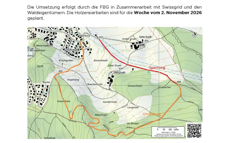 Swissgrid Sicherheitsholzerei_Umleitung